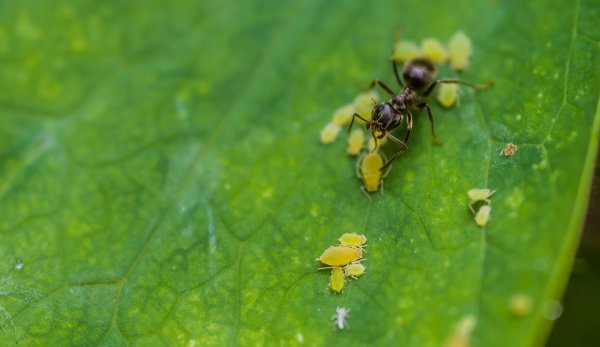 forum_IMG5495-Bearbeitet.jpg forum_IMG5495-Bearbeitet.jpg