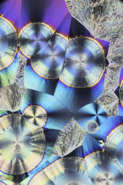 _HD81331-Bearbeitet klein.jpg