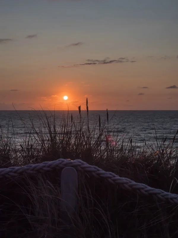 forumSylt18P8310124-2.webp