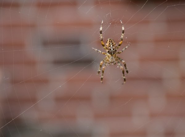 forumP9270191.jpg forumP9270191.jpg