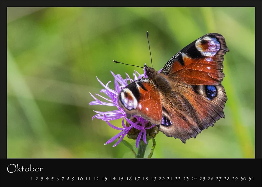 10 Kalender 2018 DIN A 4 Natur Oktober.webp