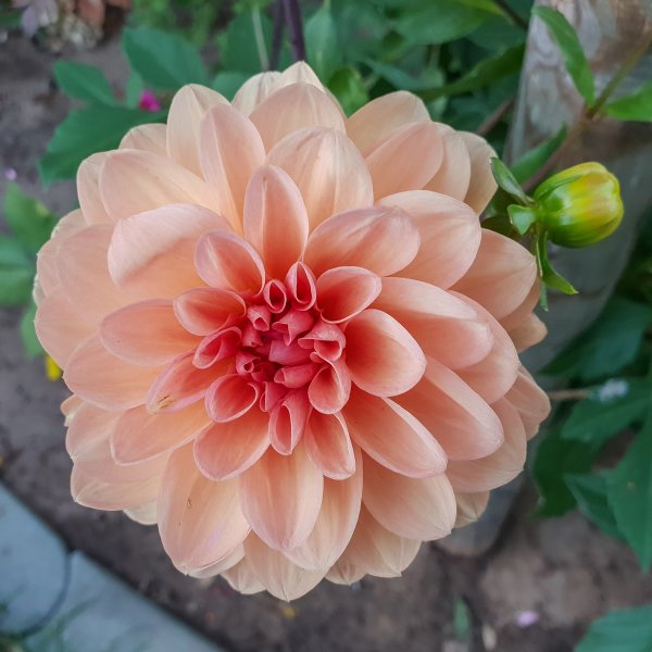 20181005_182843 05. Oktober 2018 Erlangen.jpg