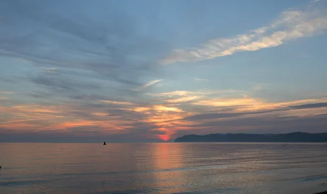 5CD28746.webp