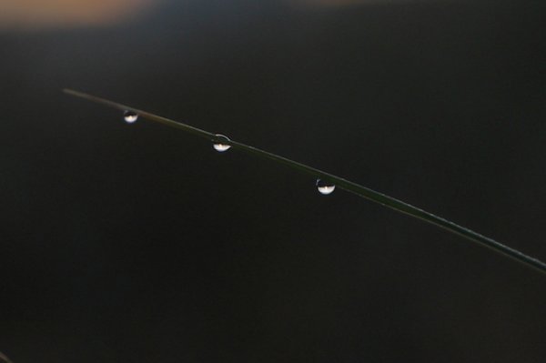 5CD28827.JPG