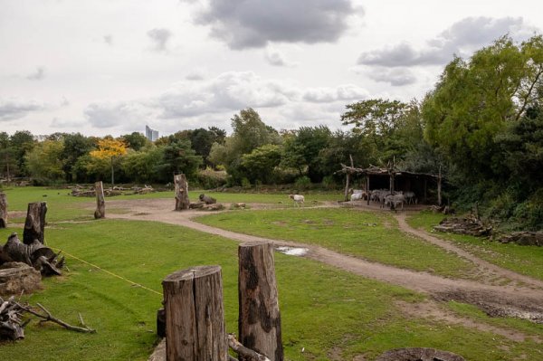 20180922_0045_Leipzig_Zoo_.jpg