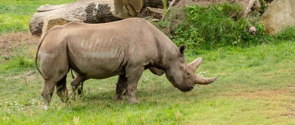 20180922_0046_Leipzig_Zoo_.jpg