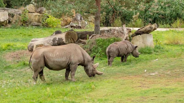 20180922_0048_Leipzig_Zoo_.jpg