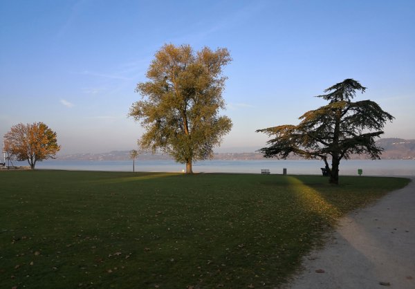 Murtensee.jpg