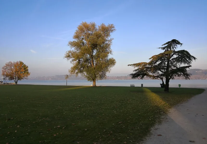 Murtensee.webp