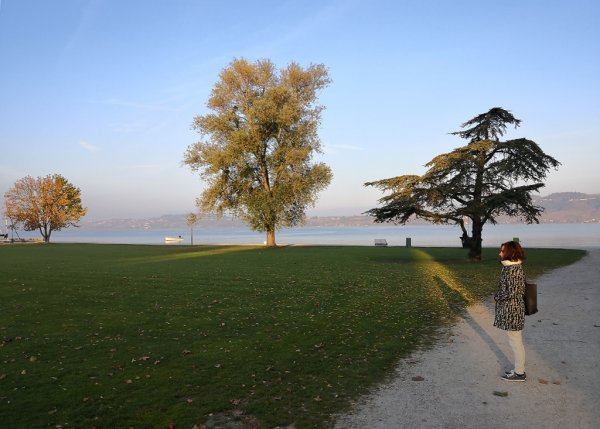 Murtensee-2.jpg
