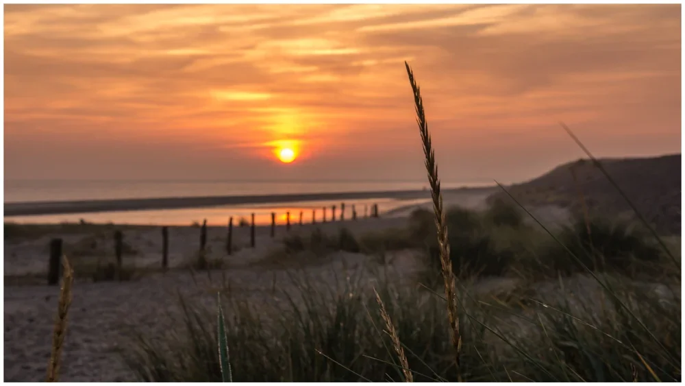 UMB_3866-Bearbeitet.webp