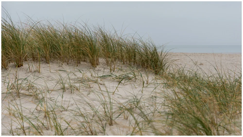 UMB_4367-Bearbeitet.webp