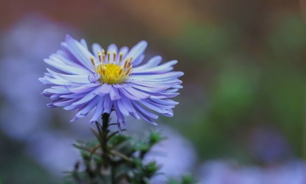 forumPA150708.jpg forumPA150708.jpg