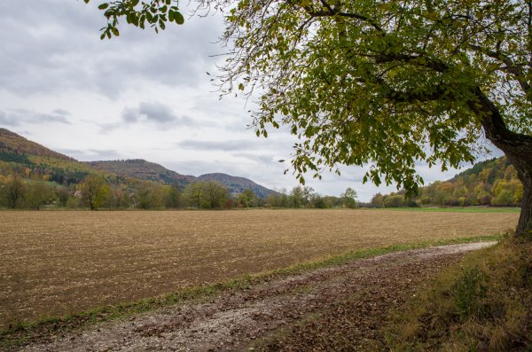 _IMG1209 27. Oktober 2018 Fraenk Schweiz Zuege.jpg