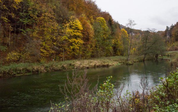 _IMG1375 27. Oktober 2018 Fraenk Schweiz Zuege.jpg