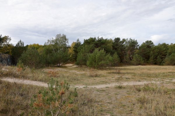 5CD28095.JPG