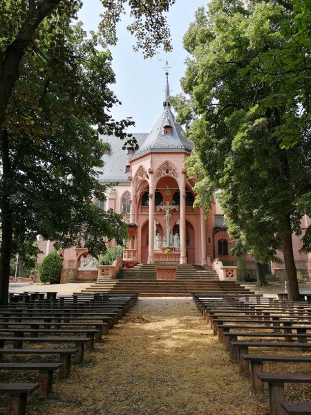 ci_IMG_20180715_125656.jpg