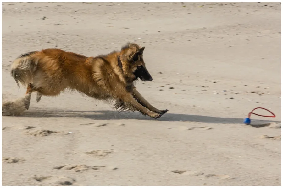 UMB_4182-Bearbeitet.webp