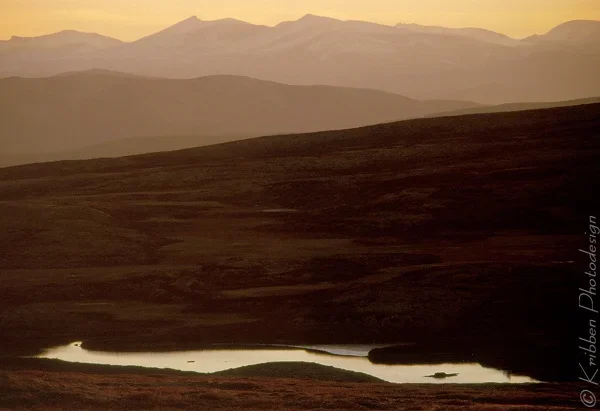 (c)_Kribben_Photodesign_Rondane-NP-600.webp