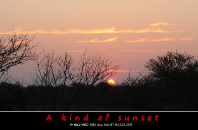 Sonnenuntergang00.jpg