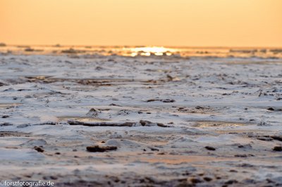 20101229-_HOF1398.jpg 20101229-_HOF1398.jpg