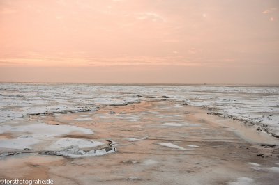 20101229-_HOF1494.jpg 20101229-_HOF1494.jpg