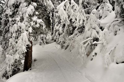 _DSC6274.jpg