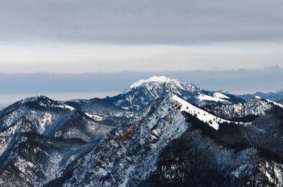 _7813-S PS.jpg
