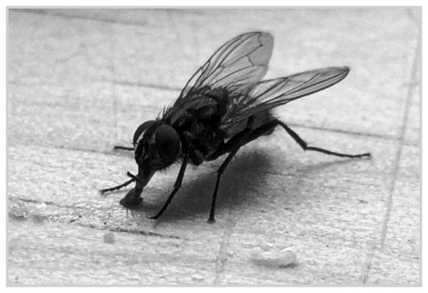 _small_IMG_0459_2_DxO.JPG