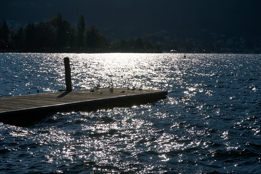 _DSC0100.webp