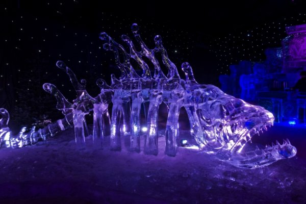 EisalFsichGerippeGanzDL2490FINMIKOFIN_720x480.jpg