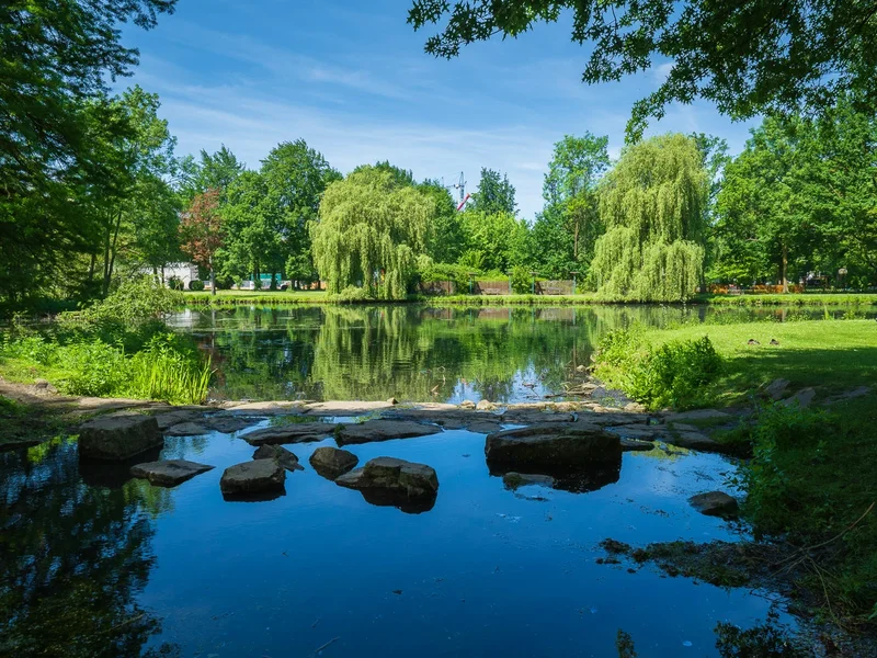 Gewässer im Beller Mühle Park.webp