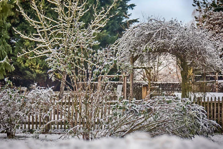BauerngartenimWinterCL2490FINFINFINMANBEFIN_720x480.webp