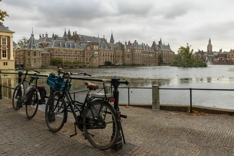 comp_DSC00261.webp