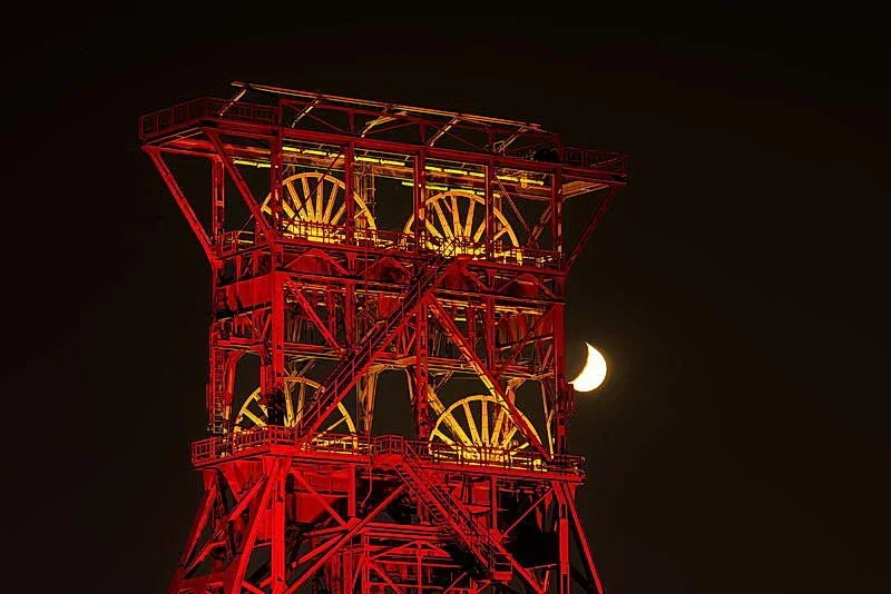 K1IM6379.webp