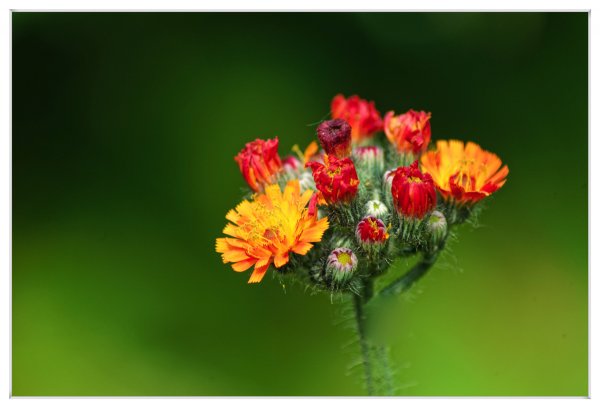 _small__IMG6907.JPG