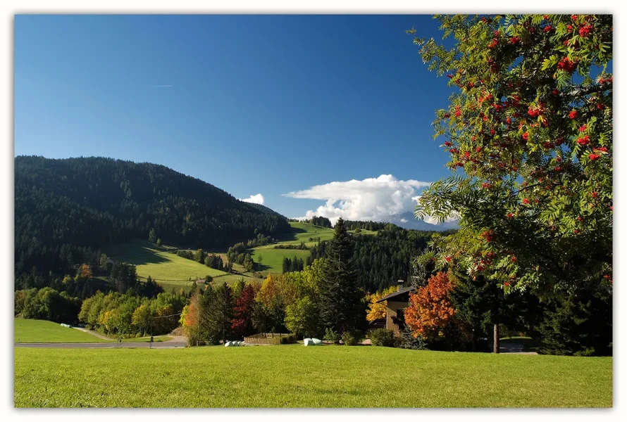 8 Hafling, Südtirol.webp