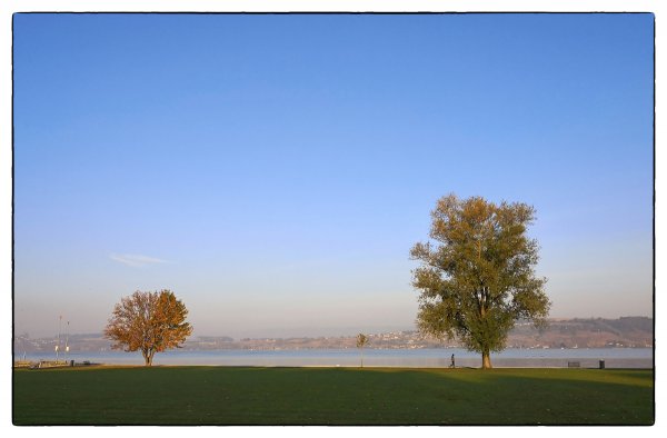 11 am Murtensee.jpg