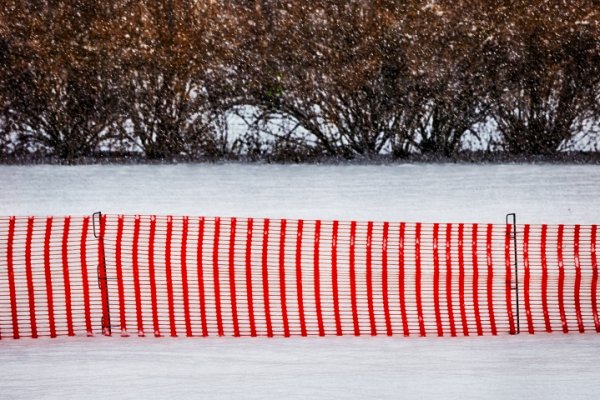 RoterZaunimSchneemitHGBüscheSL90280FINTMP_719x480.jpg RoterZaunimSchneemitHGBüscheSL90280FINTMP_719x480.jpg