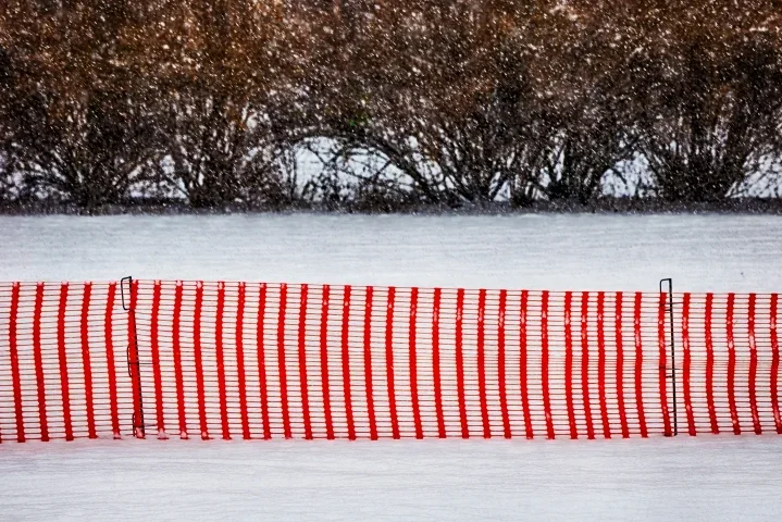 RoterZaunimSchneemitHGBüscheSL90280FINTMP_719x480.webp