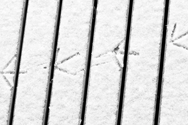 SpurenomSchneeaufholzgatterVAR2SL2490FINSCHWARZWEISSFIN_720x480.webp
