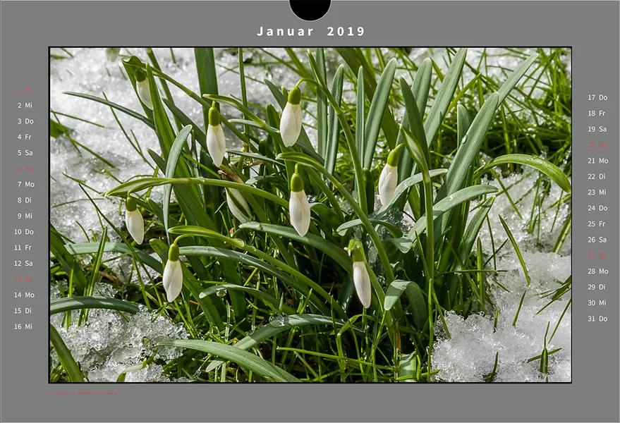 01 Kalender Natur.webp