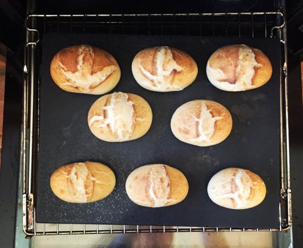 16F0D623-A194-42B6-B293-58B1AC336E13.jpeg 16F0D623-A194-42B6-B293-58B1AC336E13.jpeg