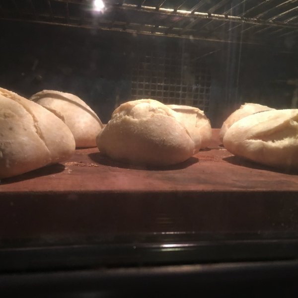 IMG_2954.jpg IMG_2954.jpg