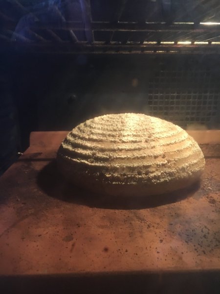 IMG_2951.jpg IMG_2951.jpg