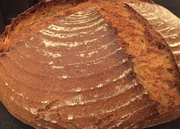 14CB3606-9F6E-4A3D-A50A-CF60542BDFA3.jpeg 14CB3606-9F6E-4A3D-A50A-CF60542BDFA3.jpeg