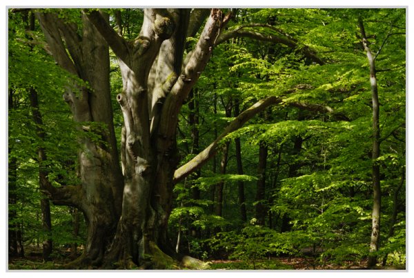 _small__IGP1020_2_DxO.JPG