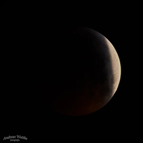 AK3_1584.webp