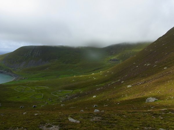 R0018735.JPG R0018735.JPG
