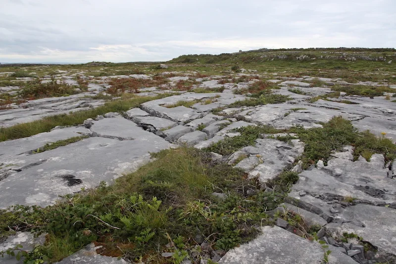 IMG_2133-Inishmore.webp
